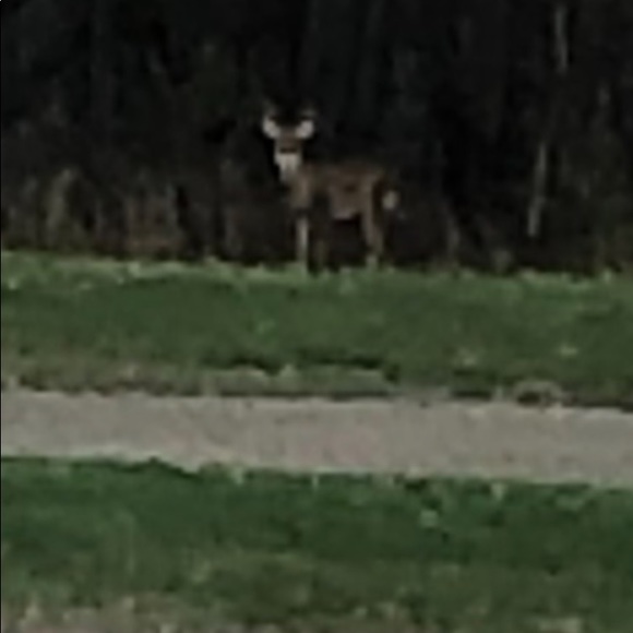 Meet your Posher, Matthew - Picture 1 of 1